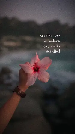 Escolho ver a beleza