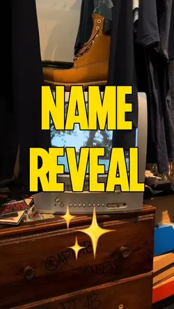 Name Reveal
