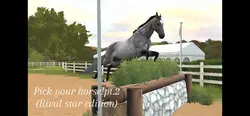 New horses!