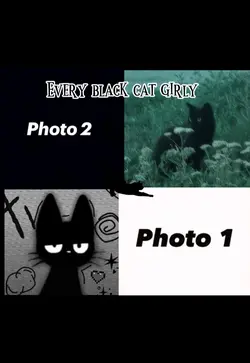 Black cat girlys