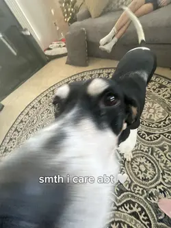 this is mah face 😊