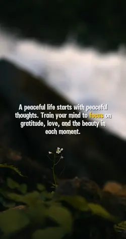 Peaceful Thoughts 🌱