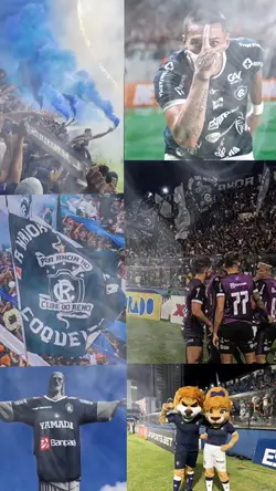 papel de parede remo