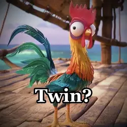Chicken twin