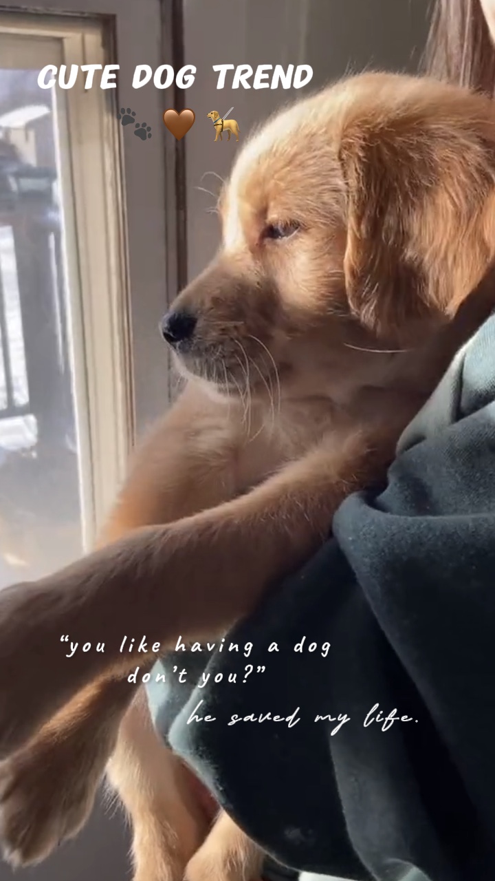 Il m'a sauvé la vie. 🐾