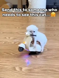 So cute ☺️ 