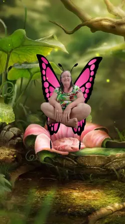 trend borboleta 
