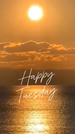 Happy Tuesday ❤️
