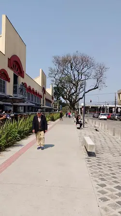 Mercado Curitiba
