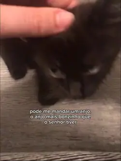 pd me mandar um anjo