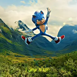 Free edit sonic
