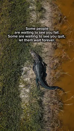 LET THEM WAIT 🕰️🗣️