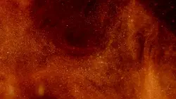 you don't understand