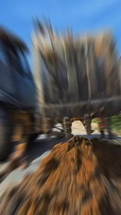 EDIT OBRA