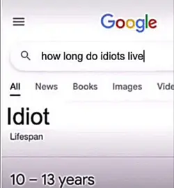 Idiot Life Span