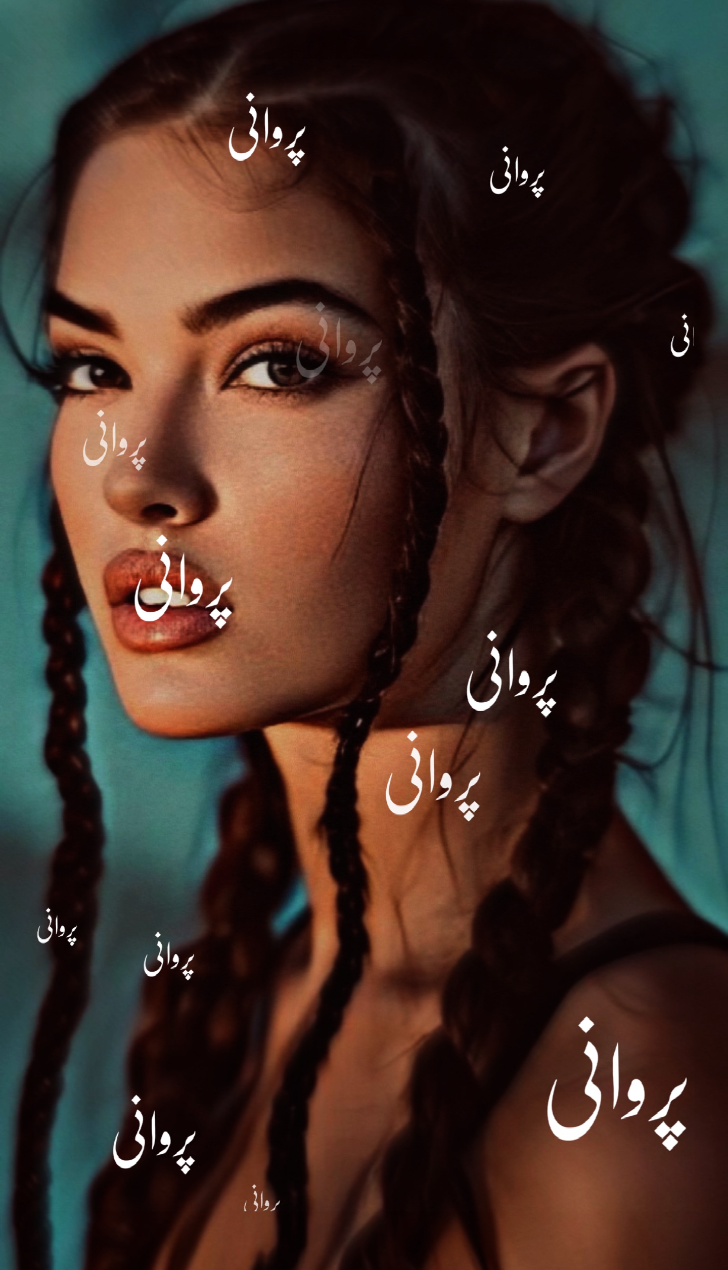 Cover Picture
