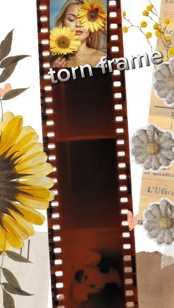 Sunflower Dream 