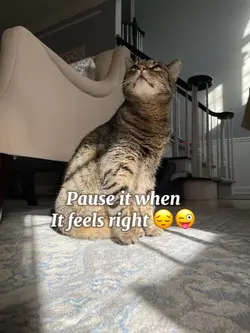 ⏸️when it feels righ