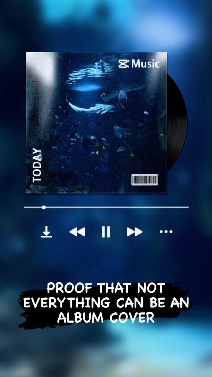 CAPA DO ÁLBUM