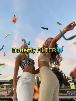 BUTTERFLY FILTER