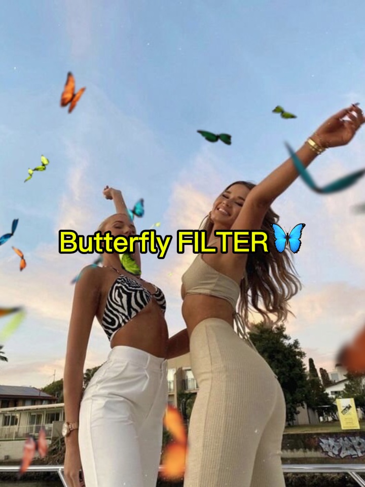 KELEBEK FİLTRE