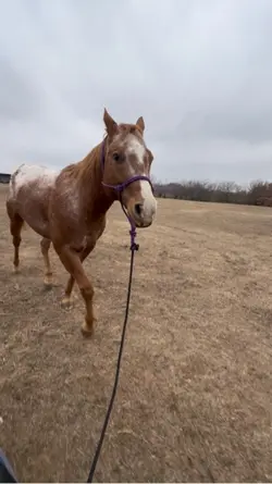 ⚠️FAKE AI GENERATED⚠️