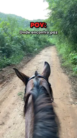 POV: cavalos❤️‍🩹