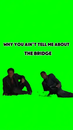 The Bridge 