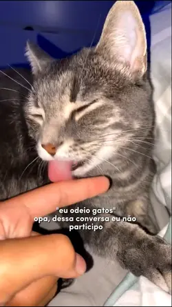 EU ODEIO GATOS