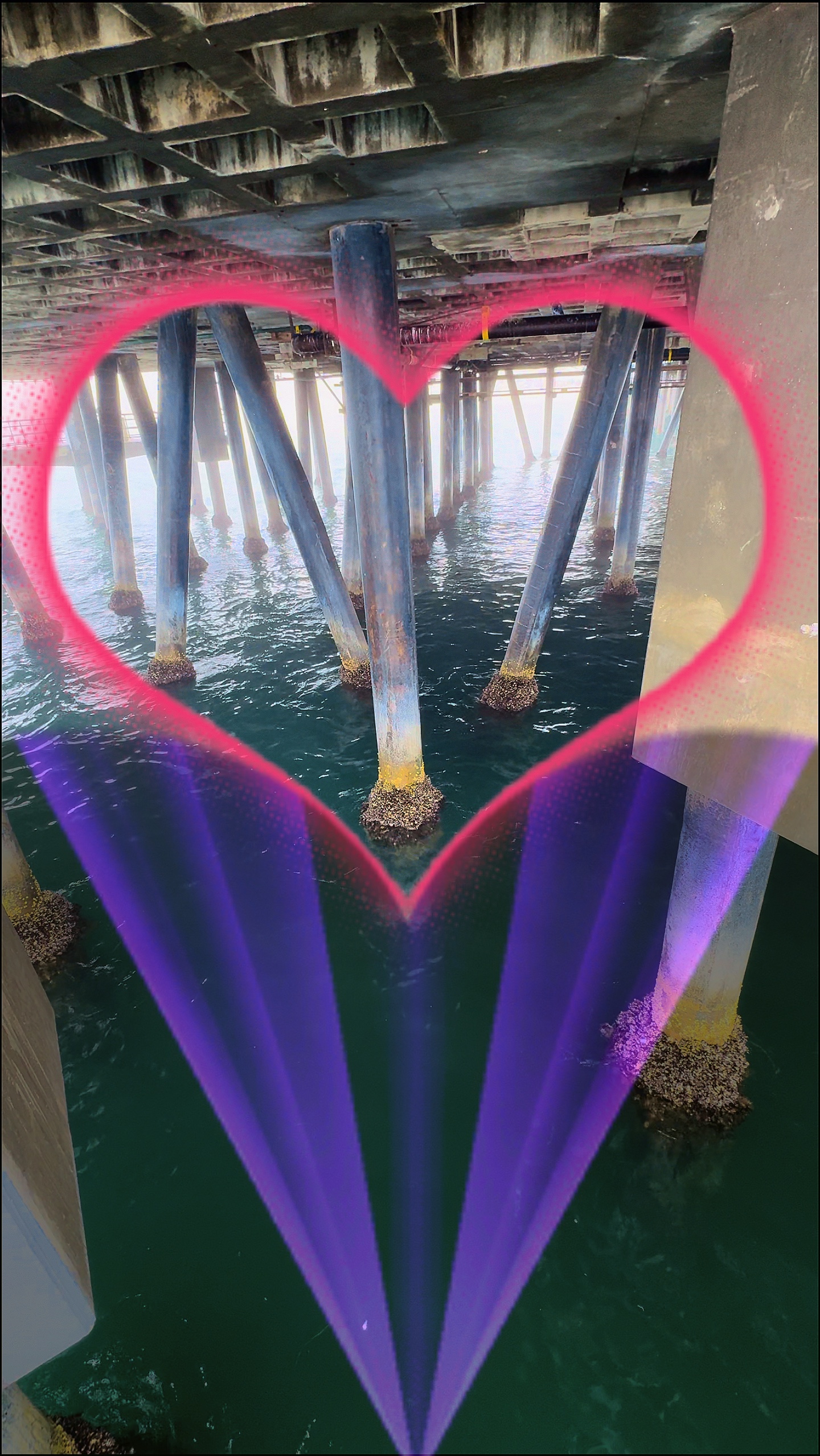 Purple Heart 