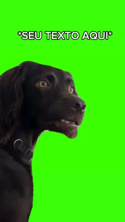 MEME/TELA VERDE/