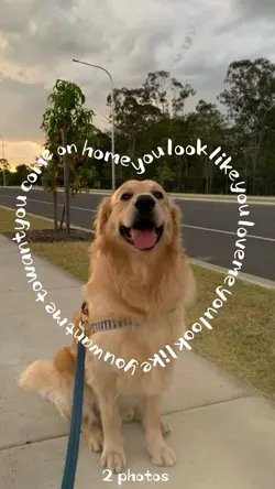 looklike you love me