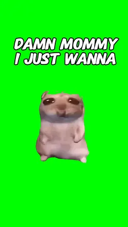 Hamste I just wana