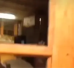 Netflix❤️❤️❤️