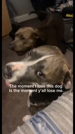 My dog ❤️