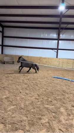 ⚠️FAKE AI GENERATED⚠️