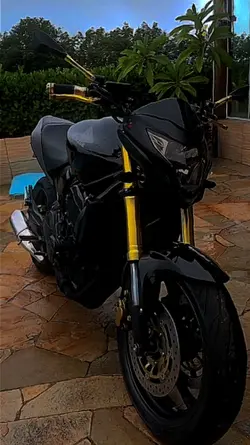 Hornet