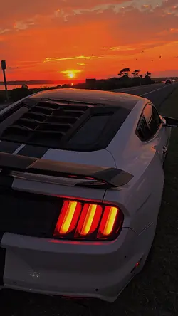 atardecer