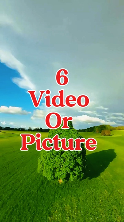 6 video or picture 