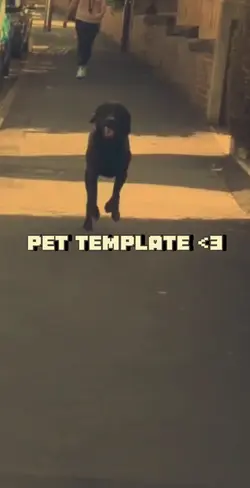 Pet Template