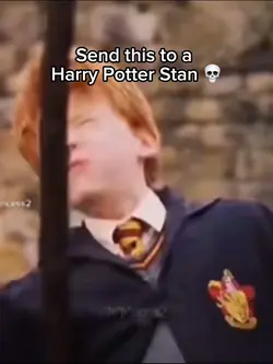 Goofy Harry Potter