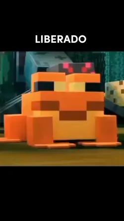 meme