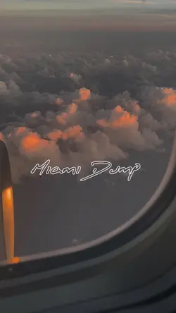 Miami dump 