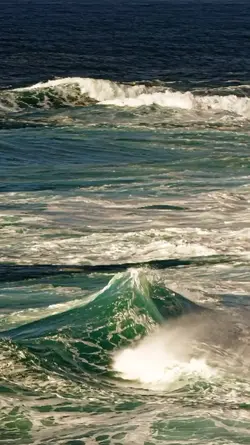 beautiful wave 