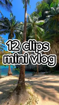 add 12 clips