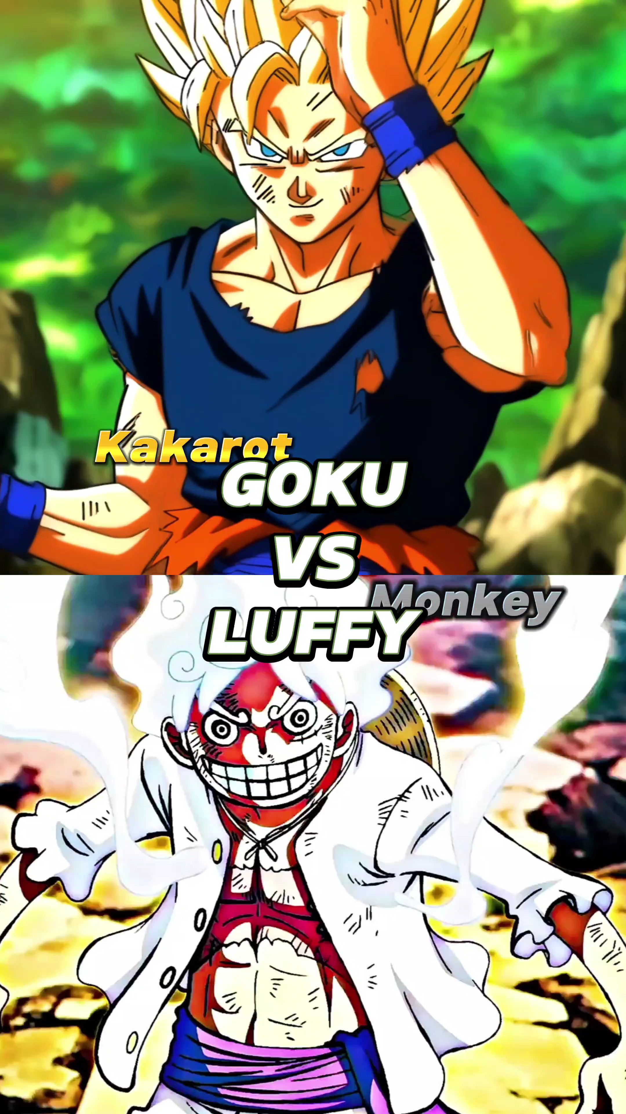 Modelo 1v1 para uso