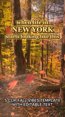 🎞️🍁 Fall Vibes 📸🍂