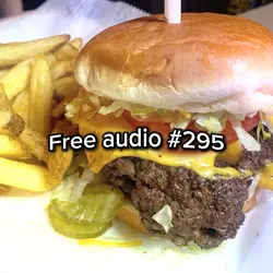 Free audio #295