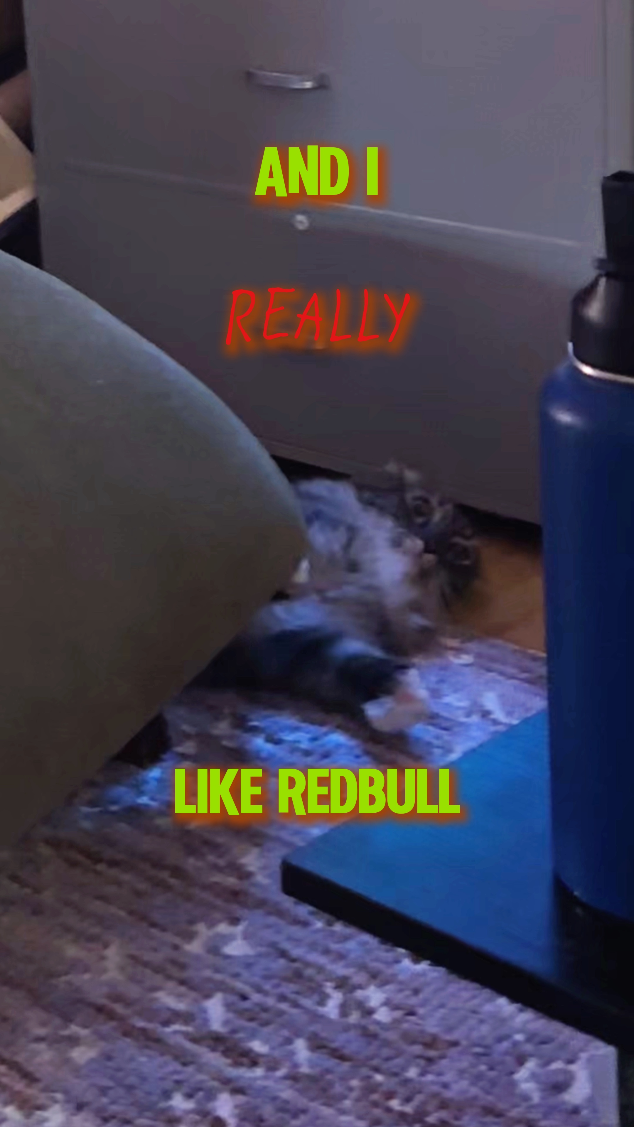 ever had a redbull? 