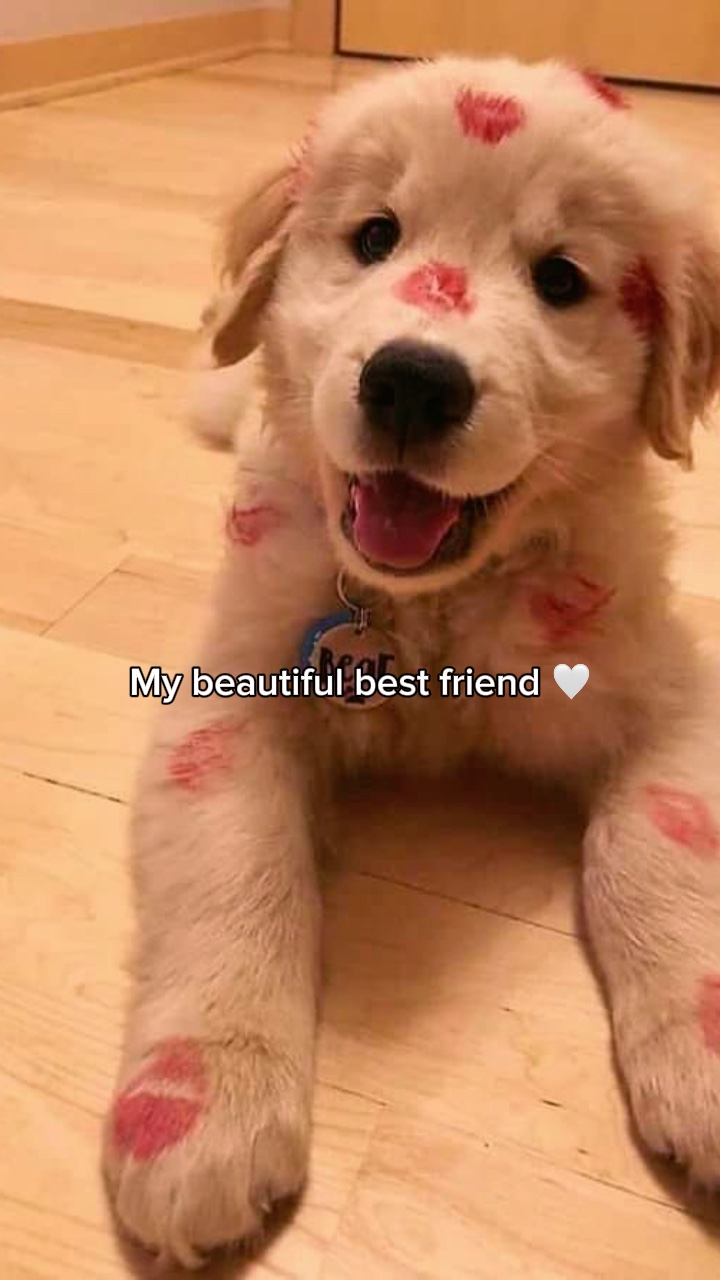 Your beautiful best💓